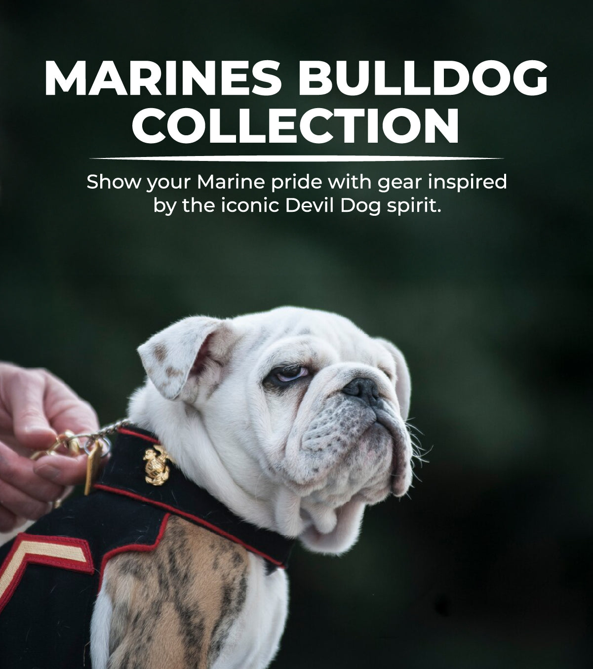 Bulldog Collection – Marines Gear