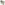 Load image into Gallery viewer, Under Armour Freedom Military Eagle T-Shirt (Sand)