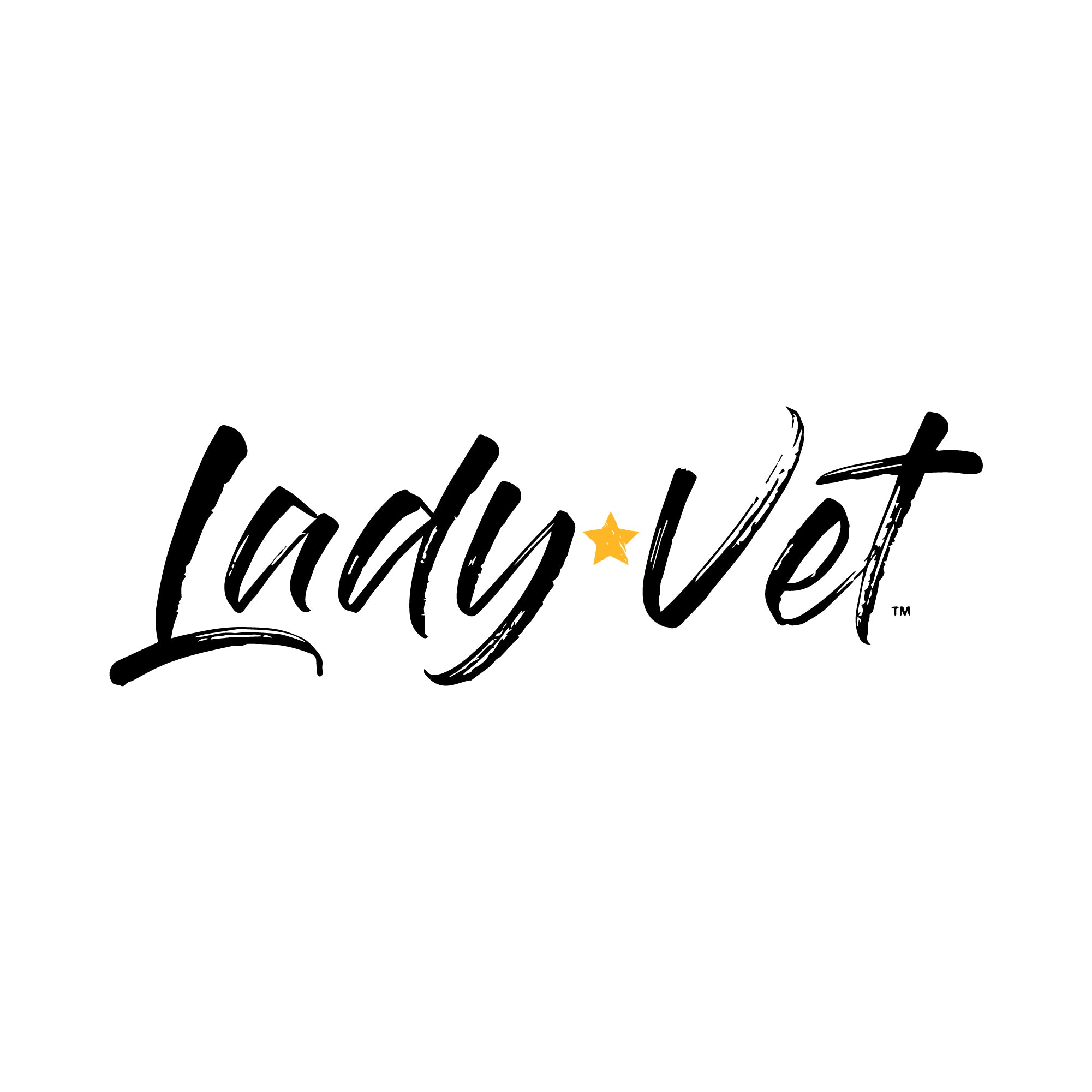 Marines Lady Vet Full Chest Logo Ladies T-Shirt