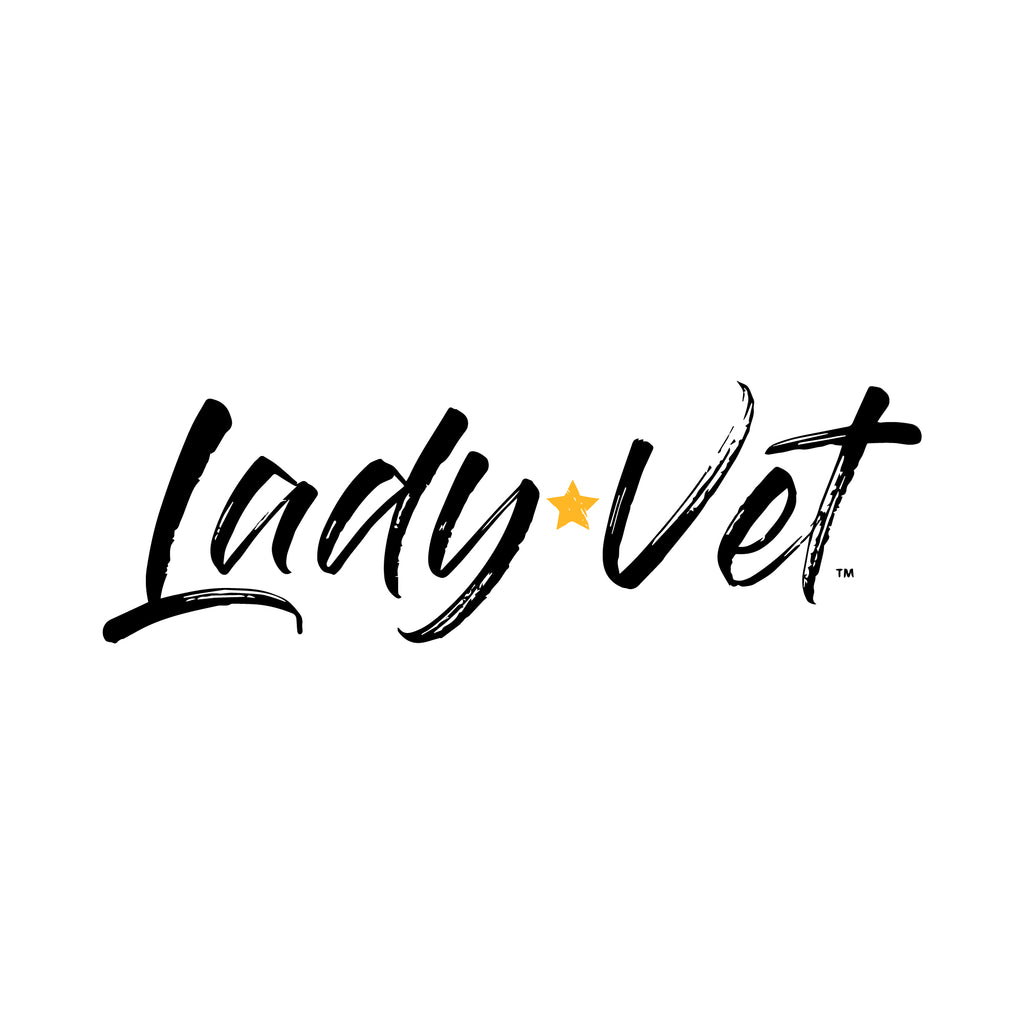 Marines Lady Vet Full Chest Logo Ladies T-Shirt