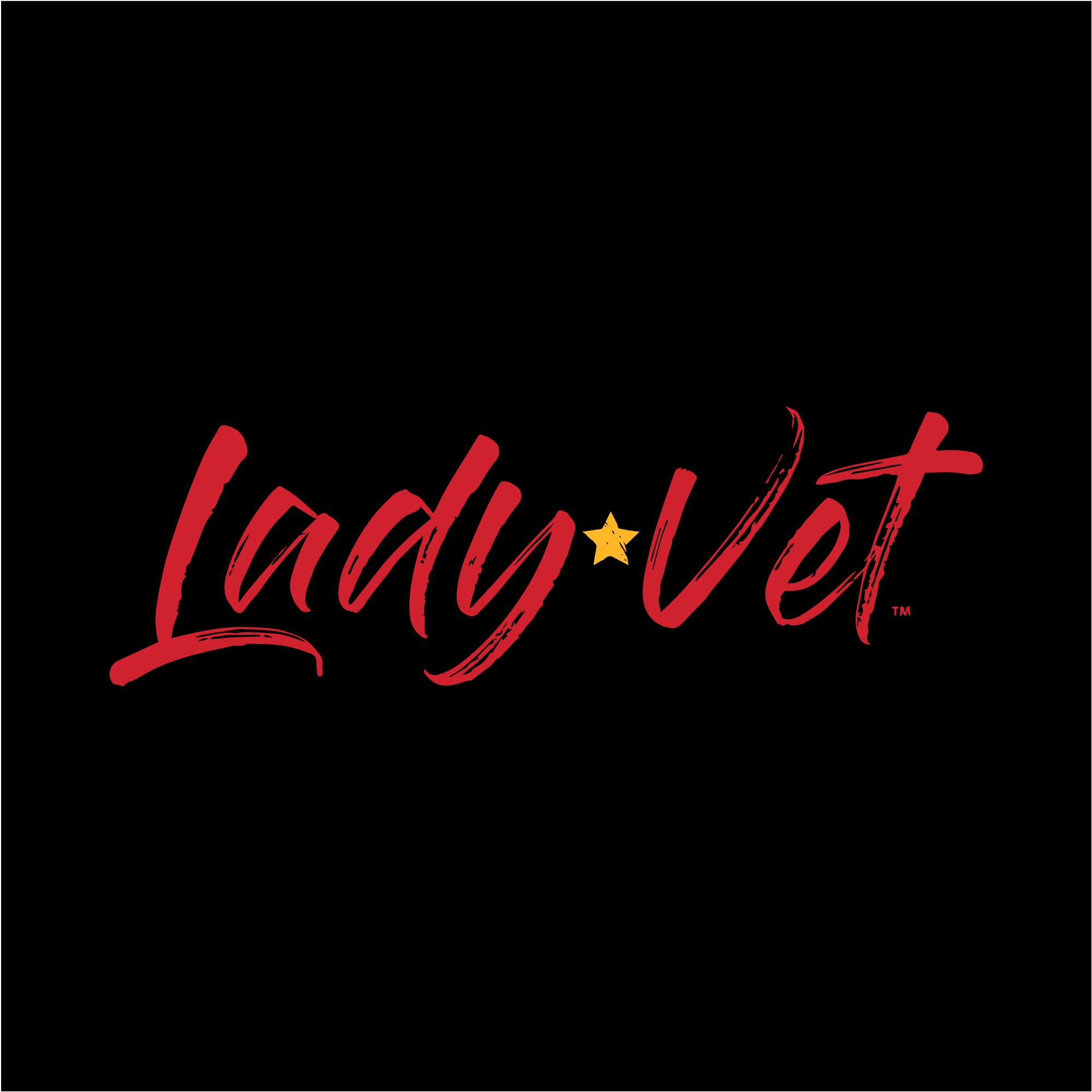 Marines Lady Vet Full Chest Logo Ladies T-Shirt