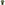 Load image into Gallery viewer, MCRD Parris Island T-Shirt (OD Green)