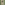 Load image into Gallery viewer, Marines Camo Flag T-Shirt (OD Green)