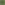 Load image into Gallery viewer, Marines Camo Flag T-Shirt (OD Green)
