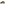 Load image into Gallery viewer, Marines Arch Old Favorite Trucker Hat (Green Field Camo)